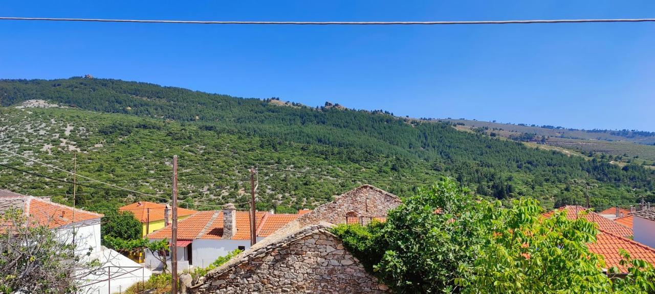 Stella House Βίλα Θεολόγος Εξωτερικό φωτογραφία